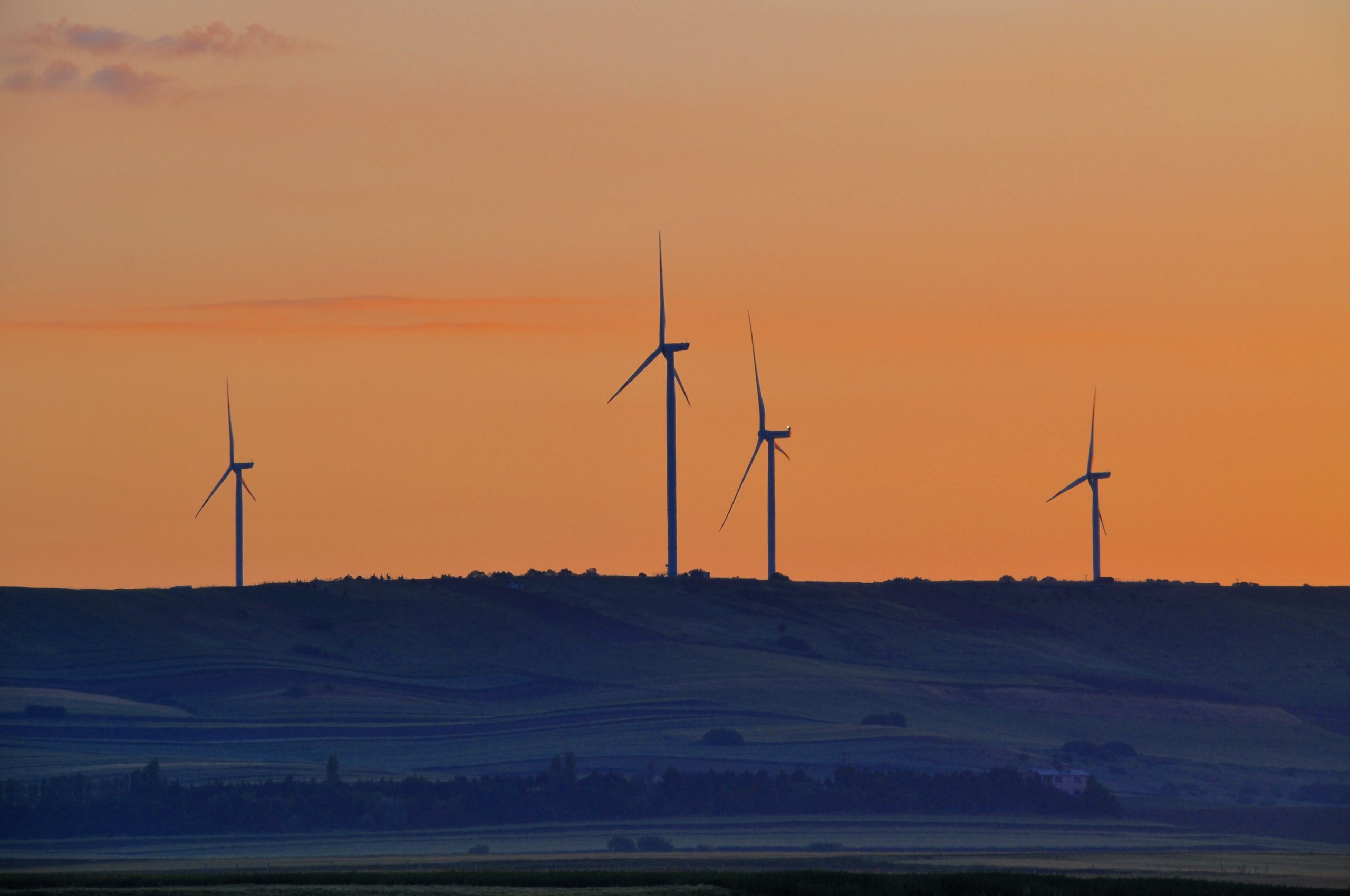 Wind turbines in a coastal landscape at sunset
